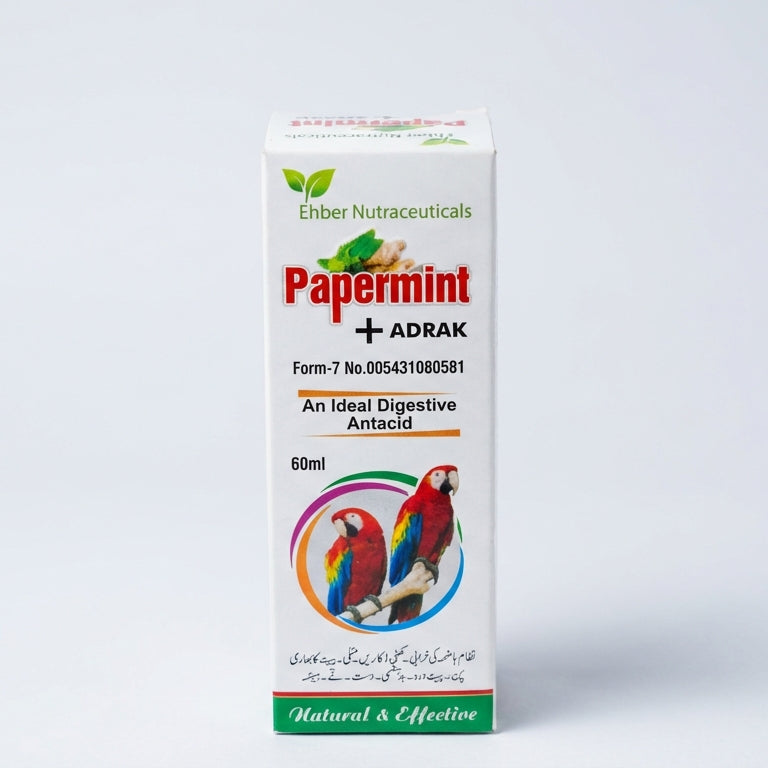 Papermint+Adrak 60Ml Syp