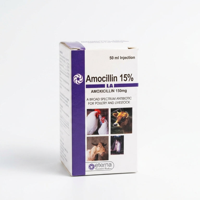Amocillin 15% 50ml