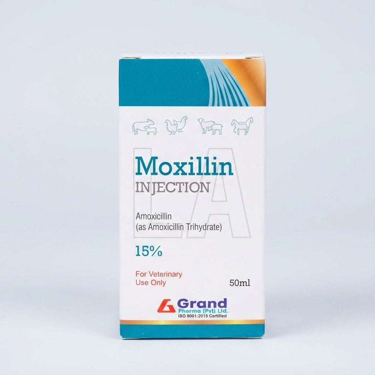 MOXILLIN INJ 50ML