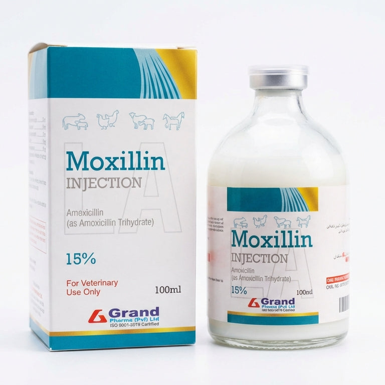 Moxillin 15% 100ml