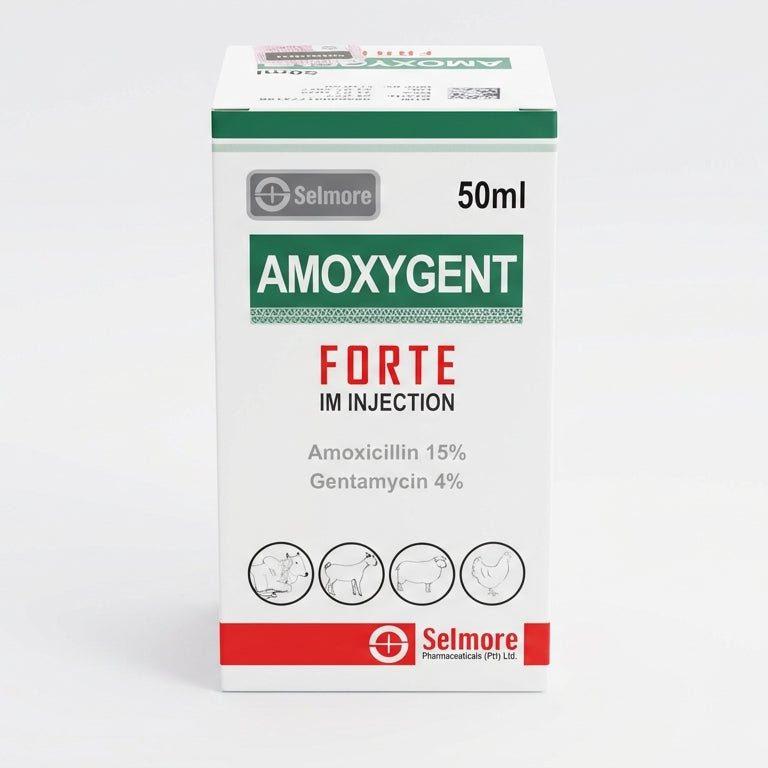 Amoxygent Forte 50ml