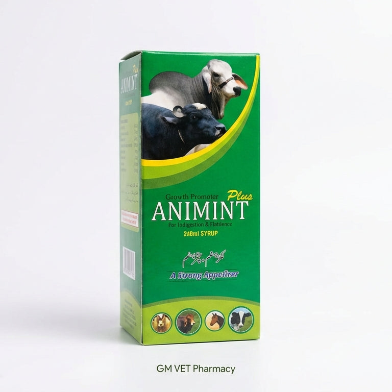 Animint Plus Syp 240Ml