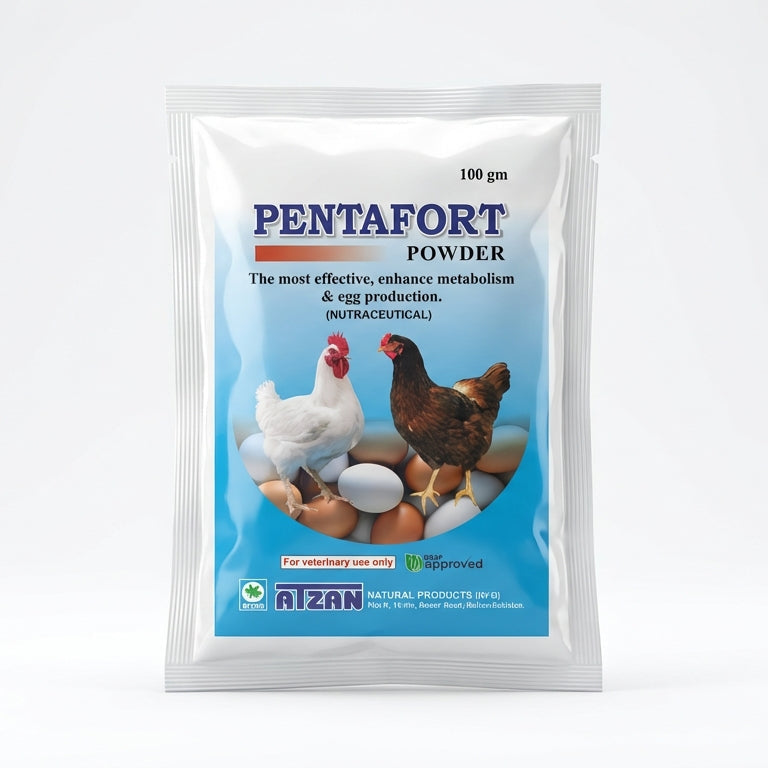 PENTAFORT 100GM POWDER