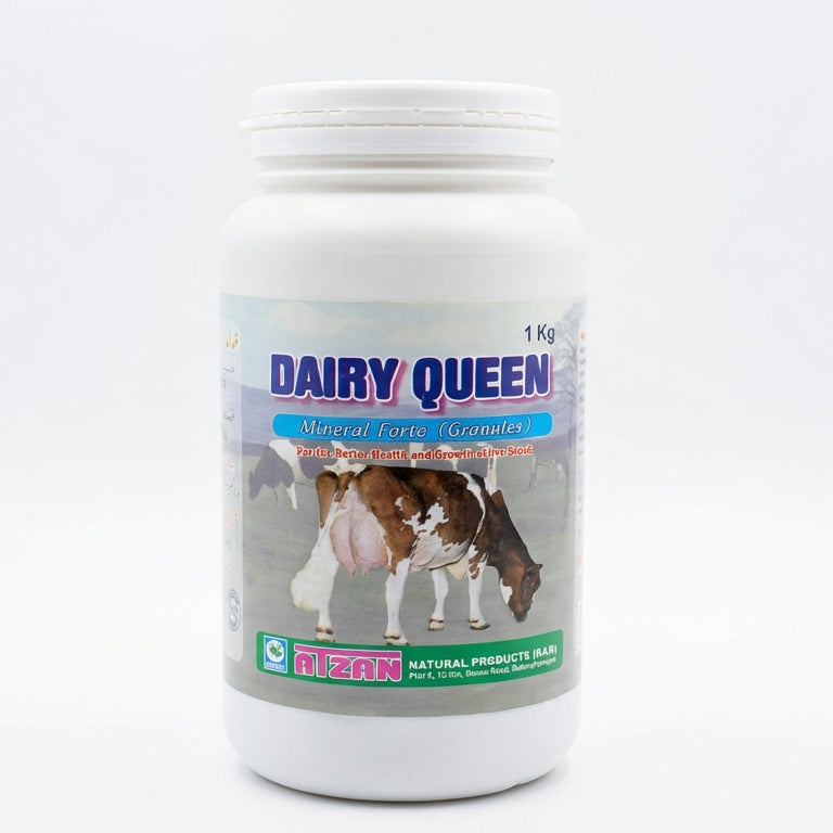 Dairy queen 1kg calcium