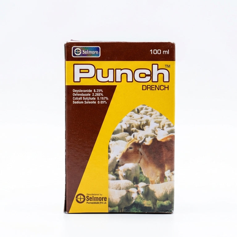 PUNCH 100ML