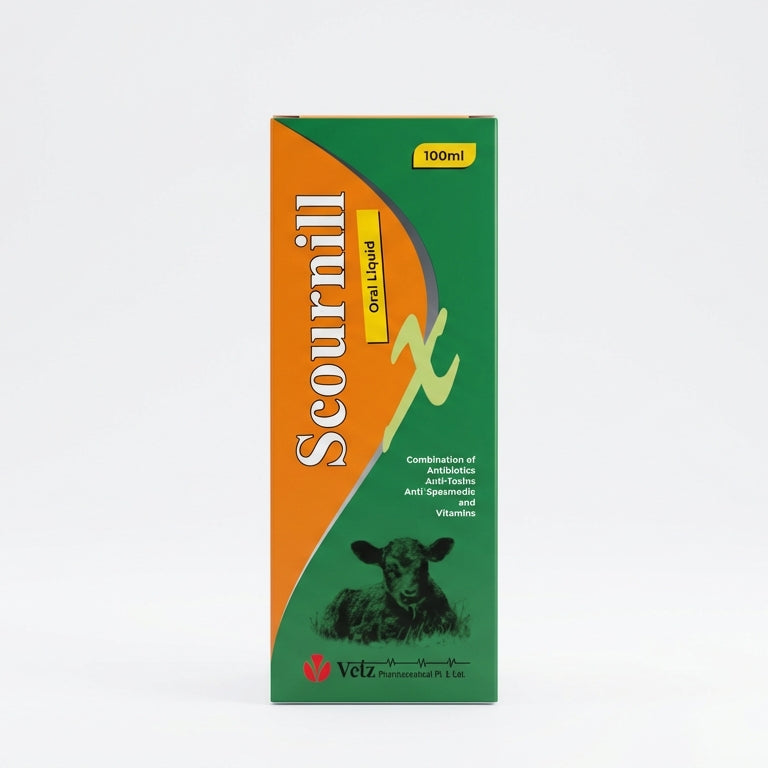 Scournill 100Ml