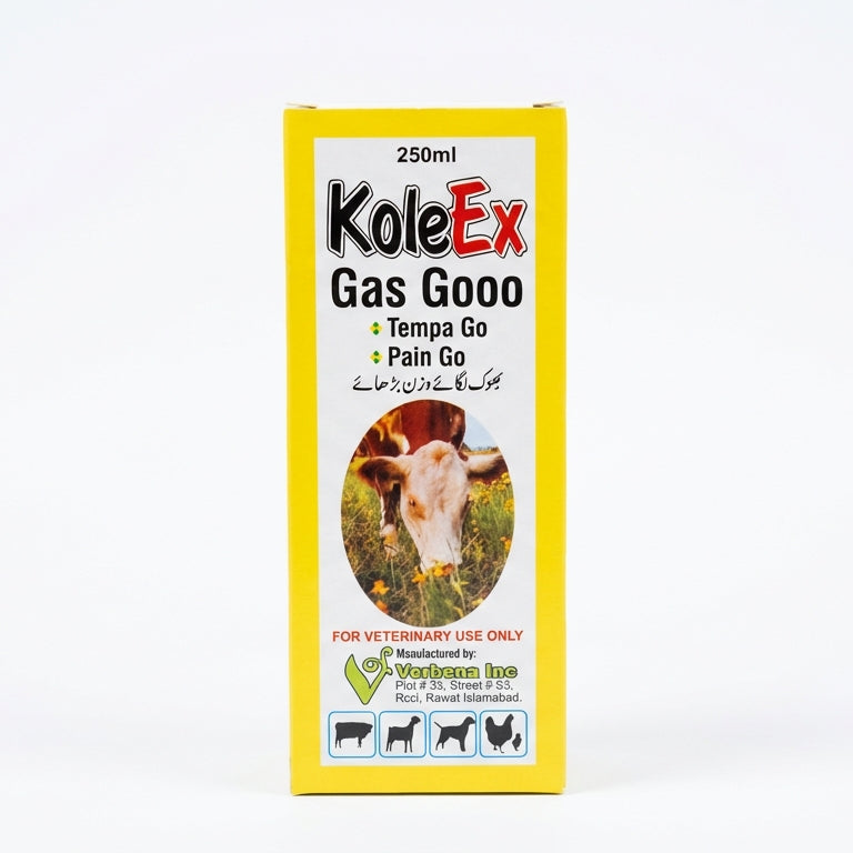 KoleEx Gas Gooo 250Ml.Syp