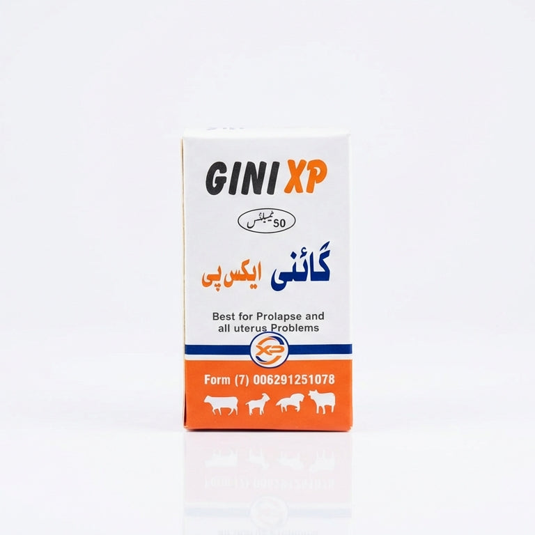 Gini xp tablets