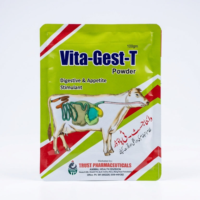 Vita Guest T Powder 100Gm