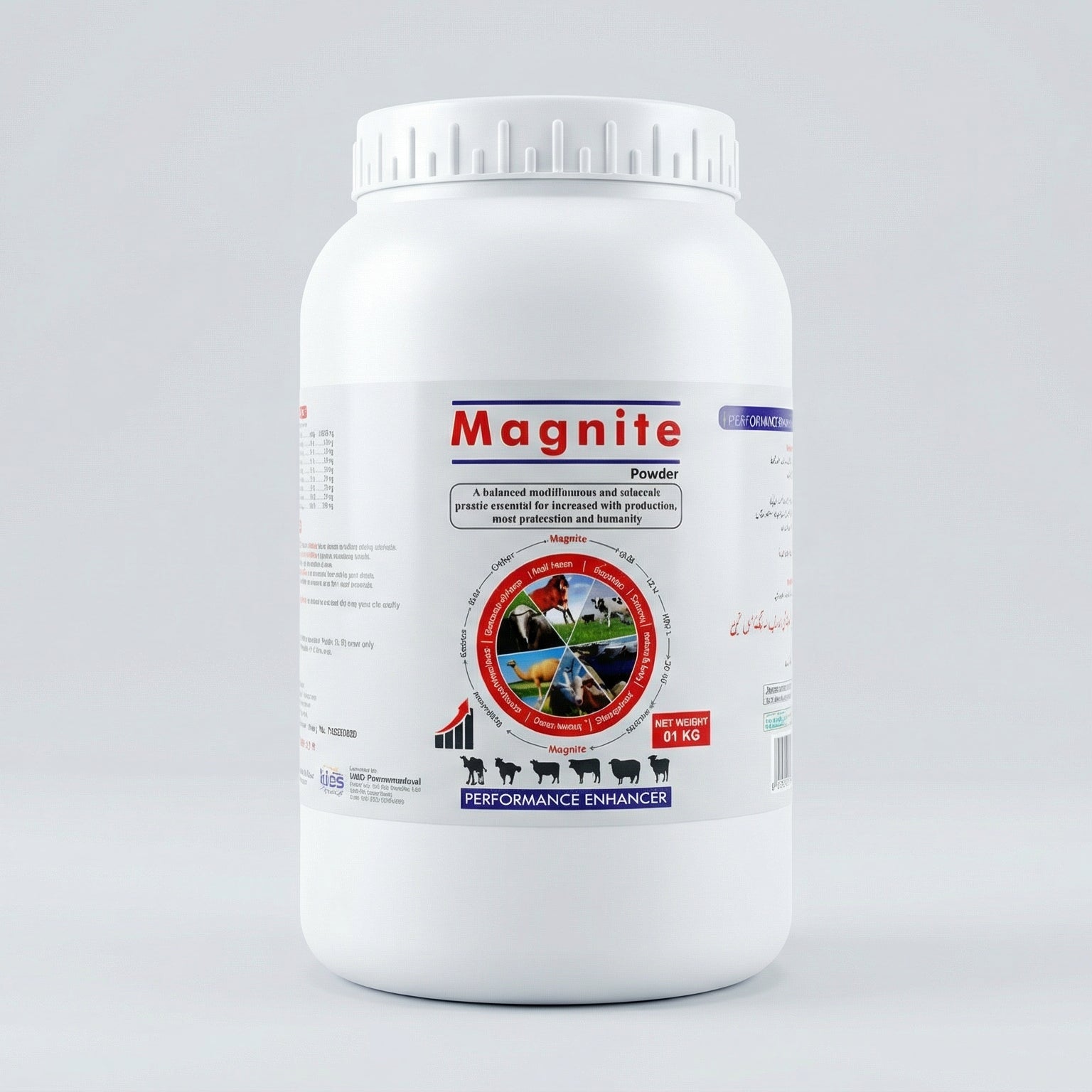 MAGNITE 1KG